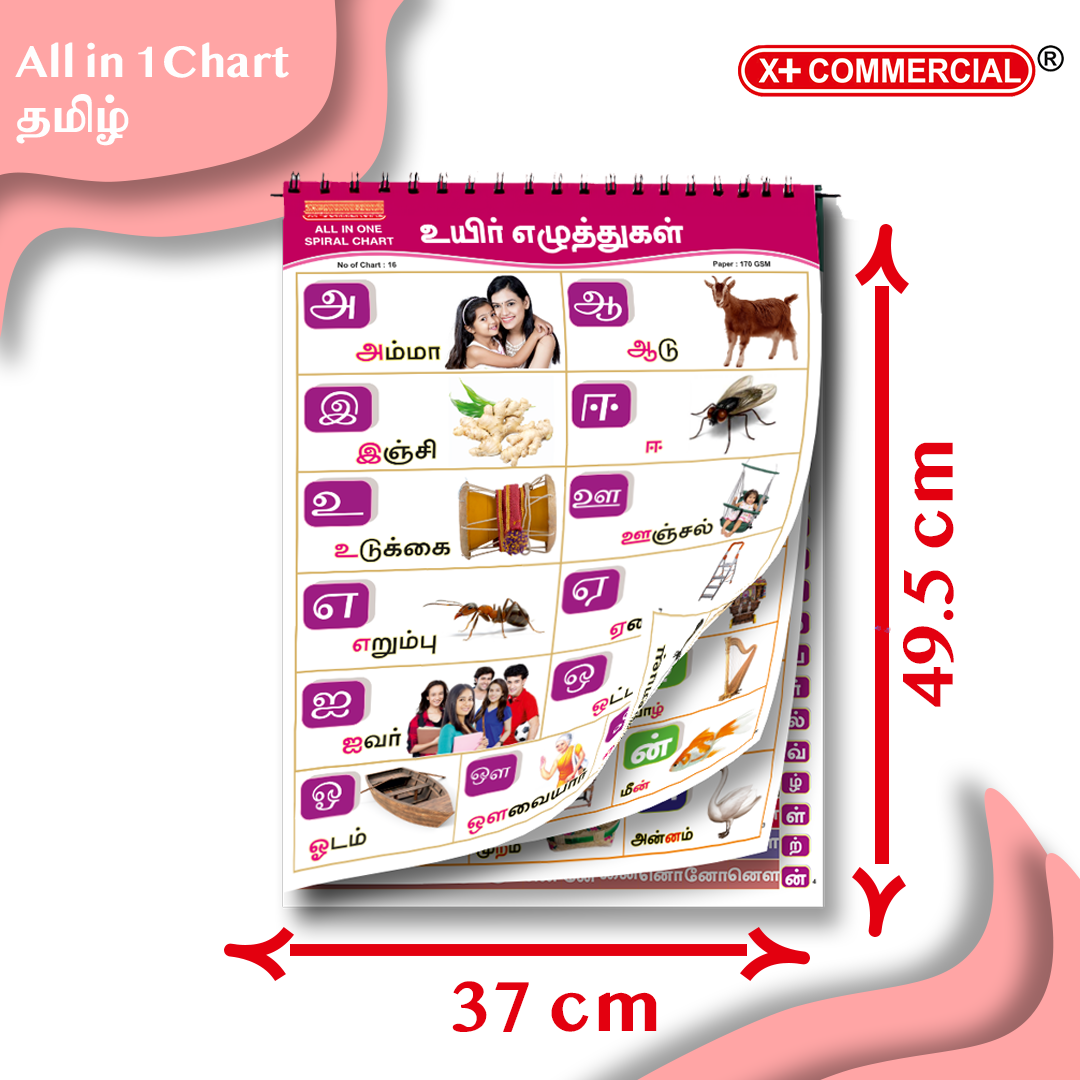 All in One Chart-TAMIL