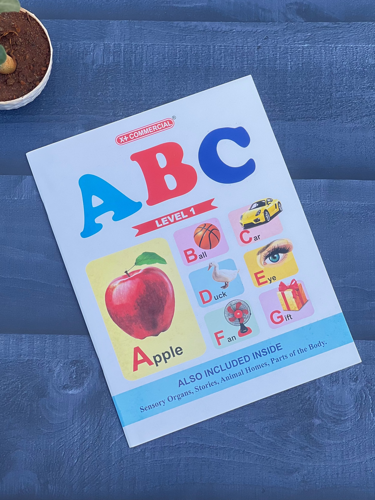 Children's book titled 'ABC' on a blue textured surface with a small plant.