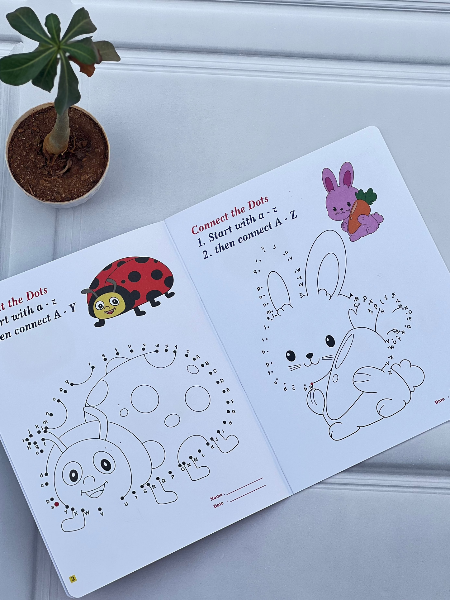 Educational book with dot-to-dot activities for children on a white surface with a plant in the background.